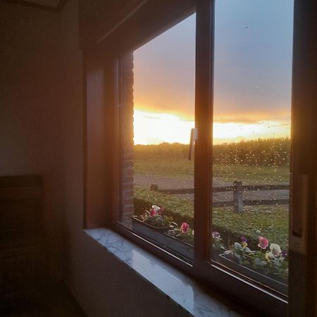 In The Old Farmhouse Assenede 外观 照片